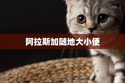 阿拉斯加隨地大小便
