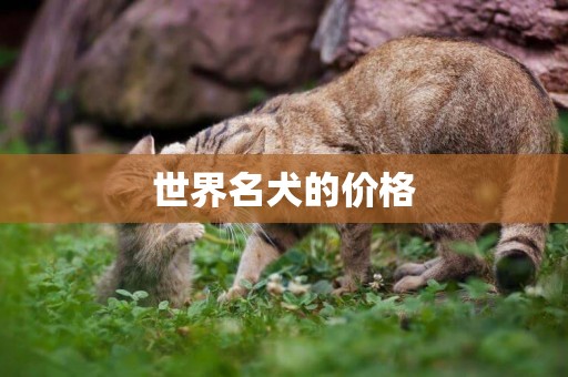 世界名犬的價格
