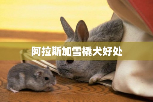阿拉斯加雪橇犬好處