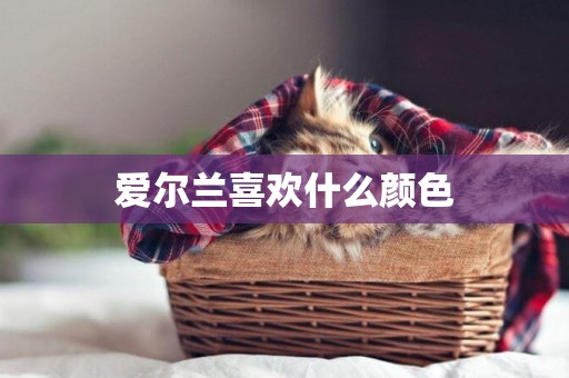愛爾蘭喜歡什么顏色
