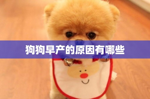 狗狗早產的原因有哪些