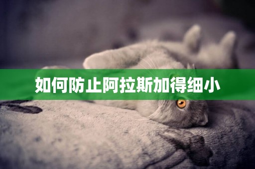 如何防止阿拉斯加得細小