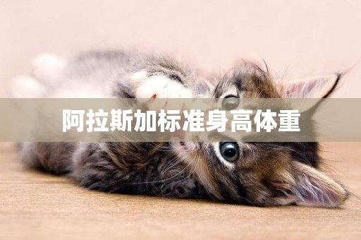 阿拉斯加標準身高體重