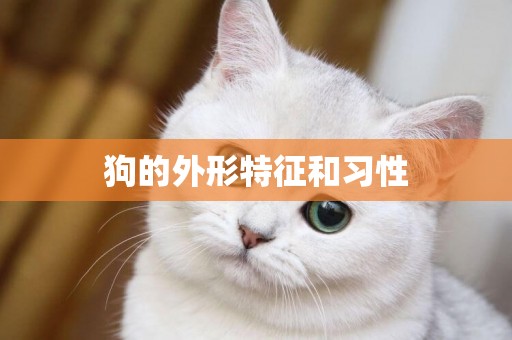 狗的外形特征和習性
