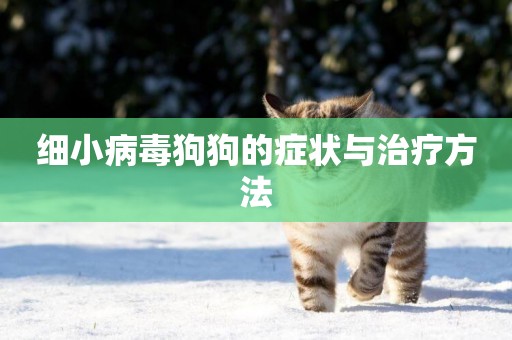 細小病毒狗狗的癥狀與治療方法