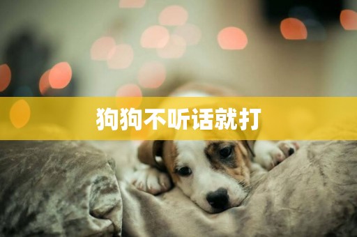 狗狗不聽話就打