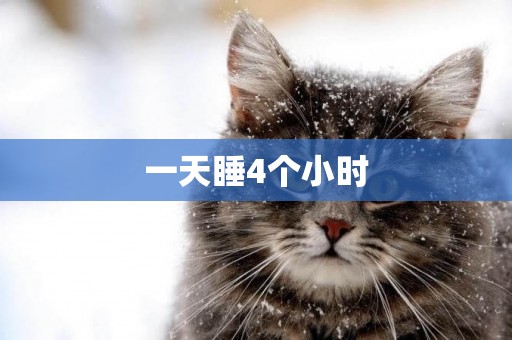 一天睡4個小時