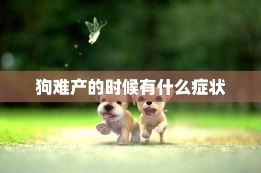 狗難產的時候有什么癥狀