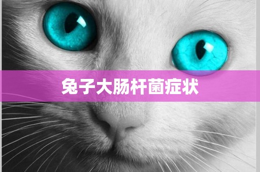 兔子大腸桿菌癥狀
