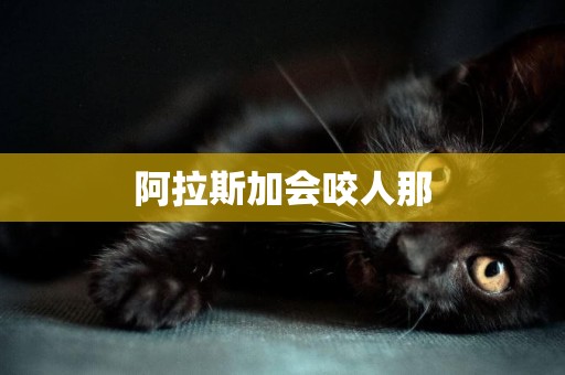 阿拉斯加會咬人那