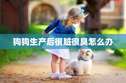 狗狗生產后很臟很臭怎么辦