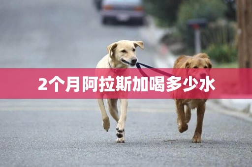 2個月阿拉斯加喝多少水