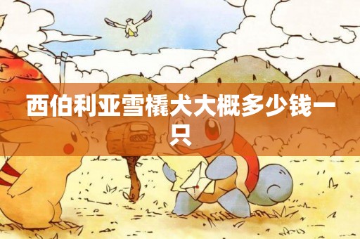 西伯利亞雪橇犬大概多少錢一只