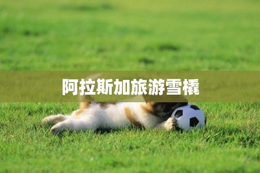 阿拉斯加旅游雪橇