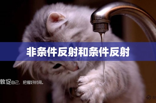 非條件反射和條件反射