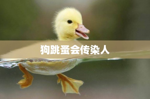狗跳蚤會傳染人