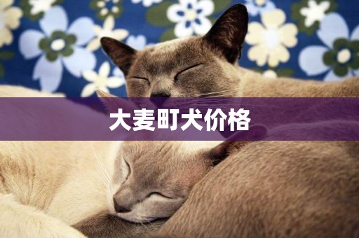 大麥町犬價格