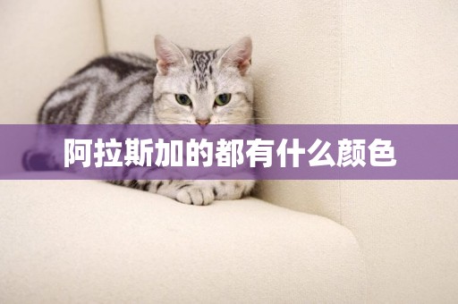 阿拉斯加的都有什么顏色