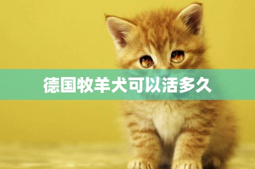 德國牧羊犬可以活多久