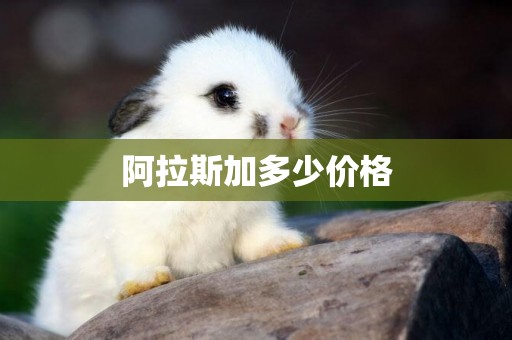 阿拉斯加多少價格
