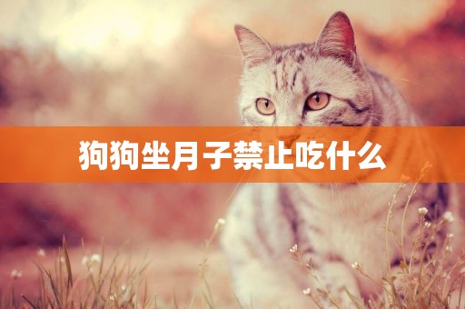 狗狗坐月子禁止吃什么