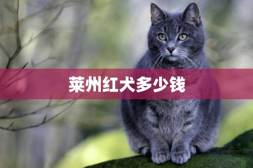 萊州紅犬多少錢