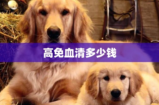 高免血清多少錢