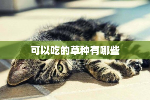 可以吃的草種有哪些