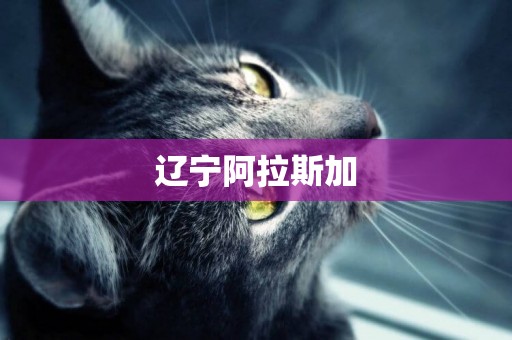 遼寧阿拉斯加