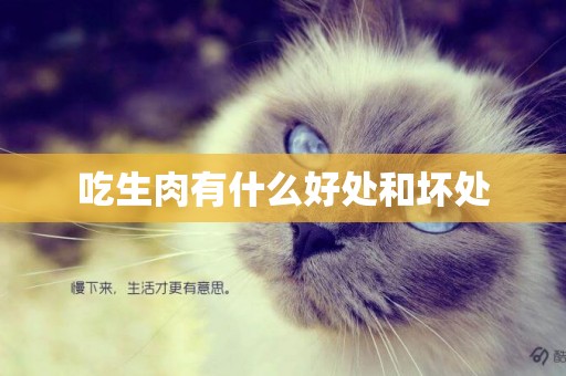吃生肉有什么好處和壞處