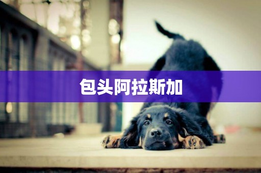 包頭阿拉斯加