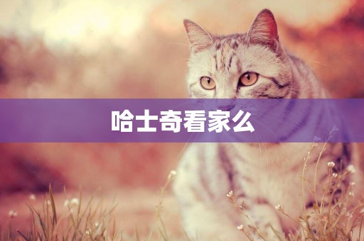 哈士奇看家么