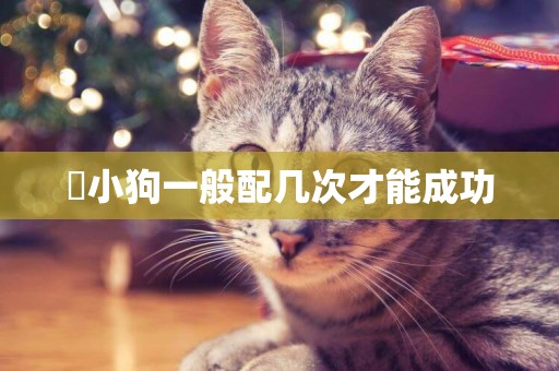 ?小狗一般配幾次才能成功