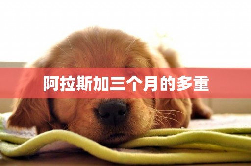 阿拉斯加三個月的多重