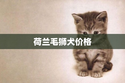 荷蘭毛獅犬價格