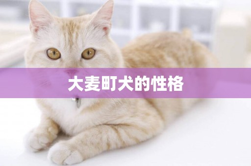 大麥町犬的性格