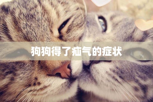 狗狗得了疝氣的癥狀