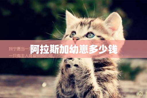 阿拉斯加幼崽多少錢