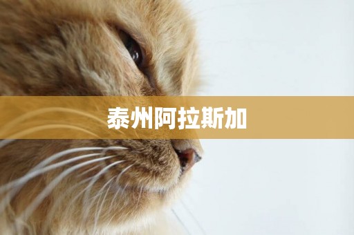 泰州阿拉斯加