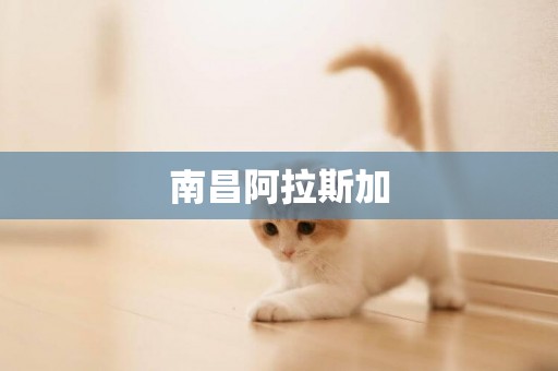 南昌阿拉斯加