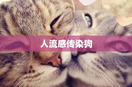 人流感傳染狗