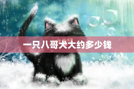 一只八哥犬大約多少錢
