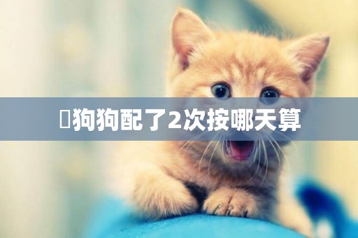 ?狗狗配了2次按哪天算