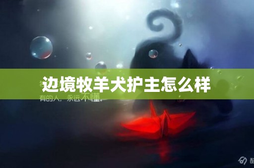 邊境牧羊犬護主怎么樣