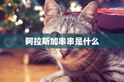 阿拉斯加串串是什么