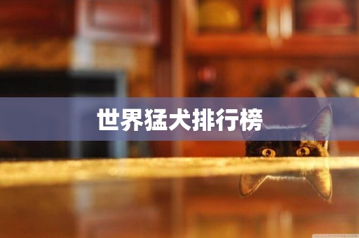 世界猛犬排行榜