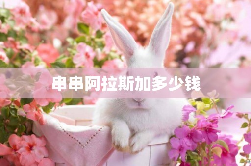 串串阿拉斯加多少錢