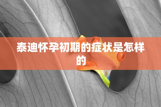 泰迪懷孕初期的癥狀是怎樣的
