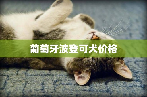 葡萄牙波登可犬價格