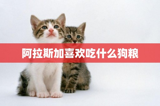 阿拉斯加喜歡吃什么狗糧